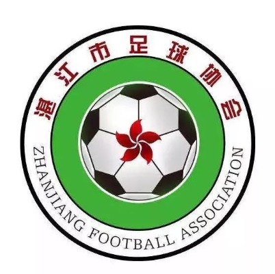 海口市足球协会logo介绍背后的故事让你大吃一惊